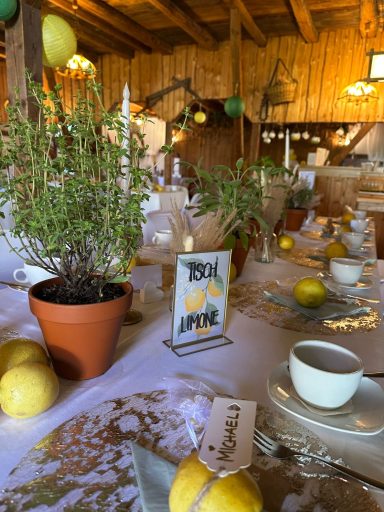 Hochzeit Juni 2025 Hochzeit Juni 2025